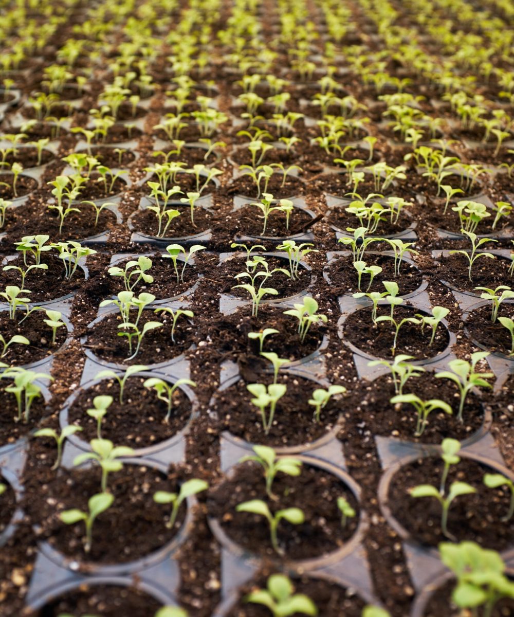 andrej-lisakov-zYUn4R37o_U-unsplash